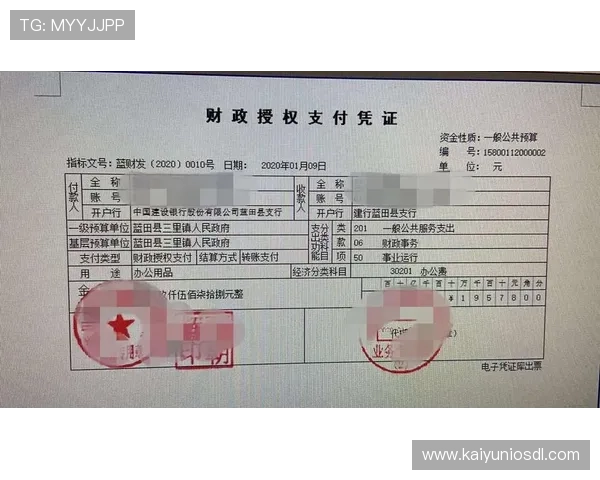 开云体育开户成功后如何快速完成身份验证流程