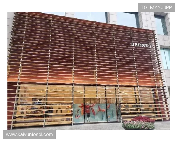 开云入口开启奢华体验,畅享全球顶级品牌购物新方式 开云入口开启奢华体验,畅享全球顶级品牌购物新方式