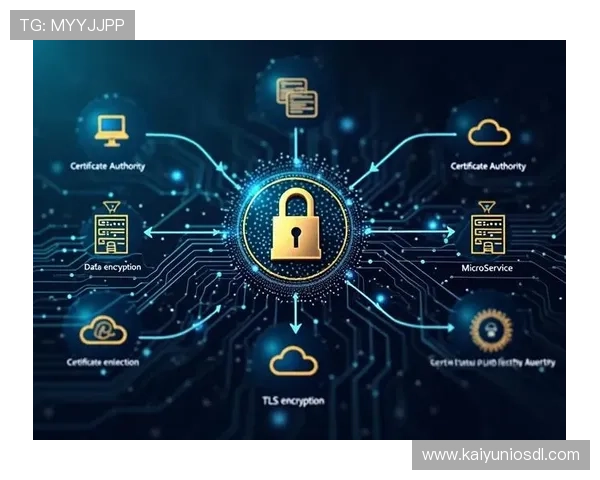 开云官网app官网安全保障措施详解确保玩家个人信息与资金安全的最佳实践